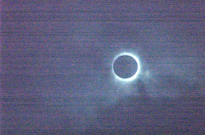 DSC_5071.jpg