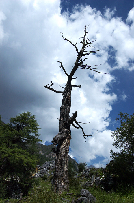 DSC_5475.jpg