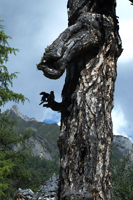 DSC_5477.jpg