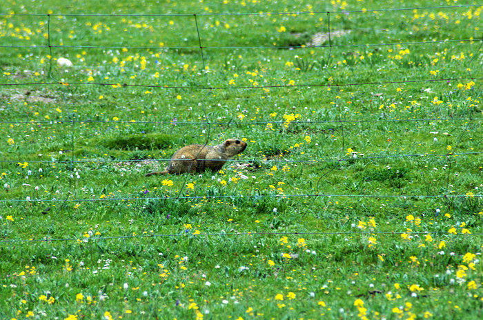 DSC_5704.jpg