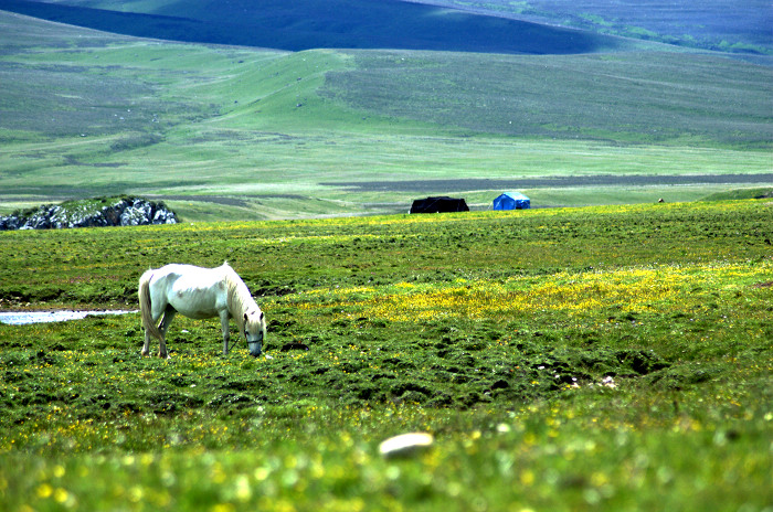 DSC_5744.jpg