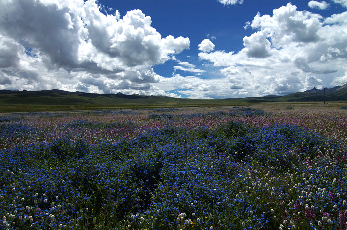 DSC_5804.jpg