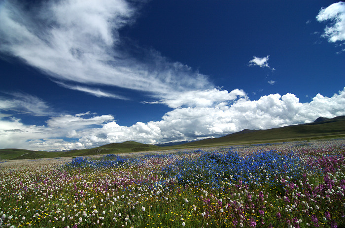 DSC_5807.jpg
