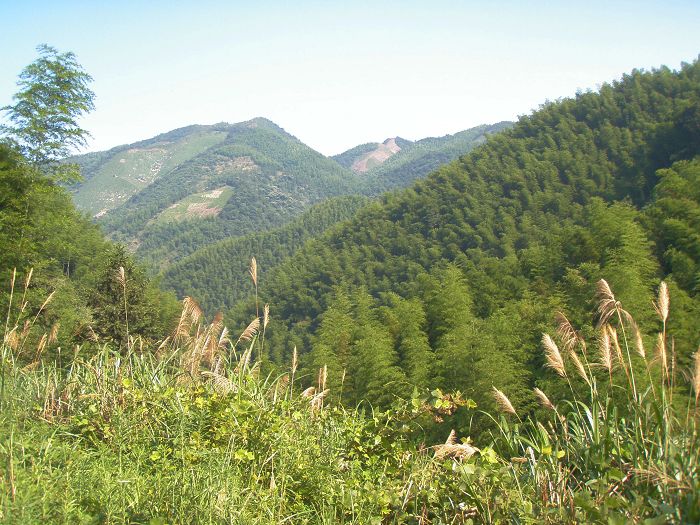 P7110003.jpg
