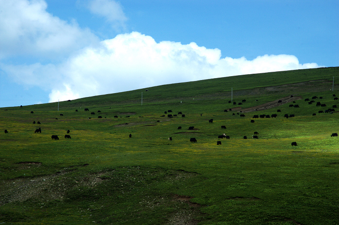DSC_4872.jpg