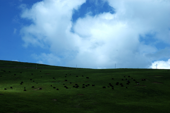DSC_4873.jpg