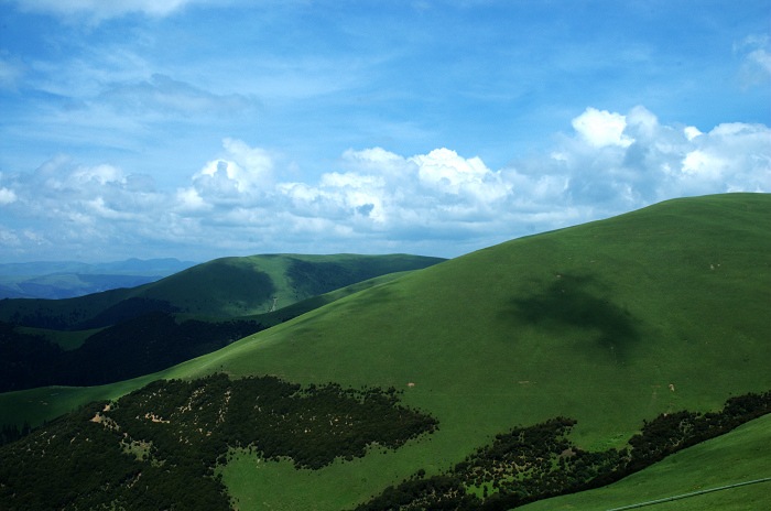 DSC_4881.jpg