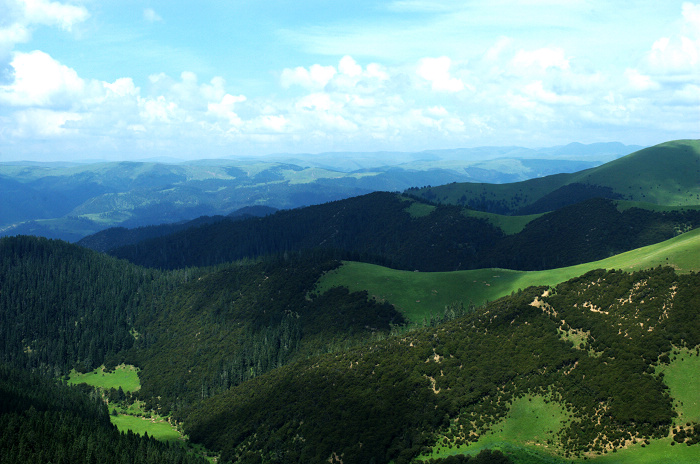 DSC_4880.jpg