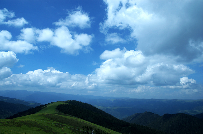 DSC_4886.jpg