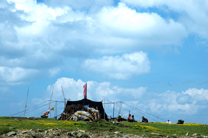 DSC_4914.jpg