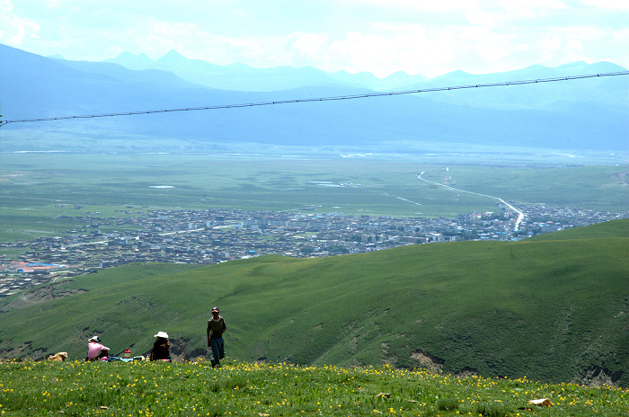 DSC_4951.jpg