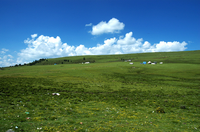 DSC_4964.jpg