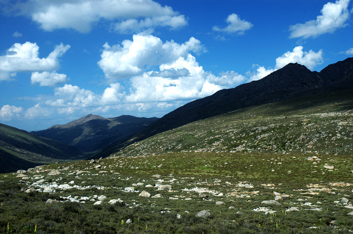 DSC_4972.jpg