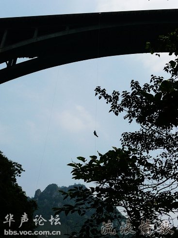 2009051415051131-162858.jpg