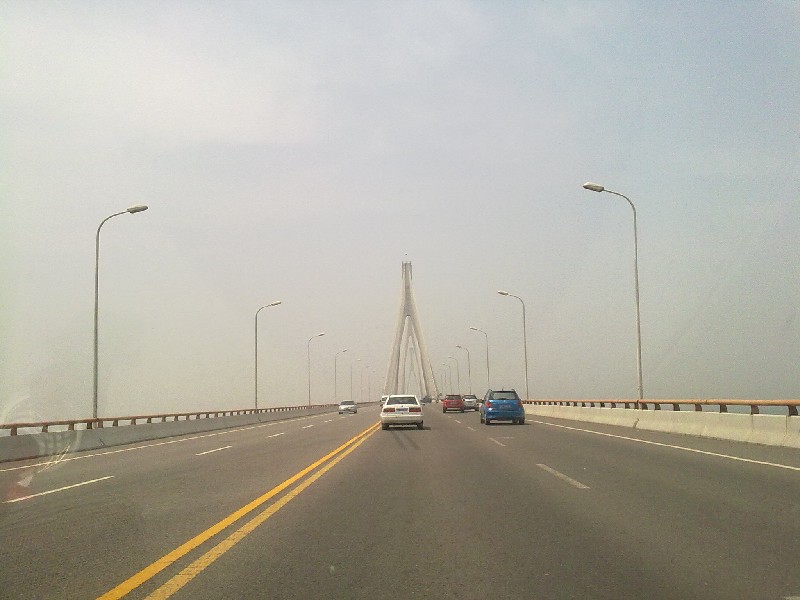 BigBull_20100501912.jpg