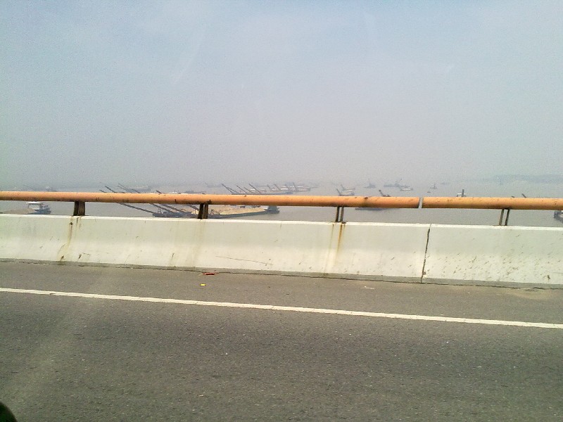 BigBull_20100501913.jpg