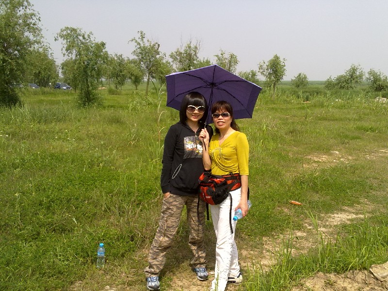 BigBull_20100501922.jpg