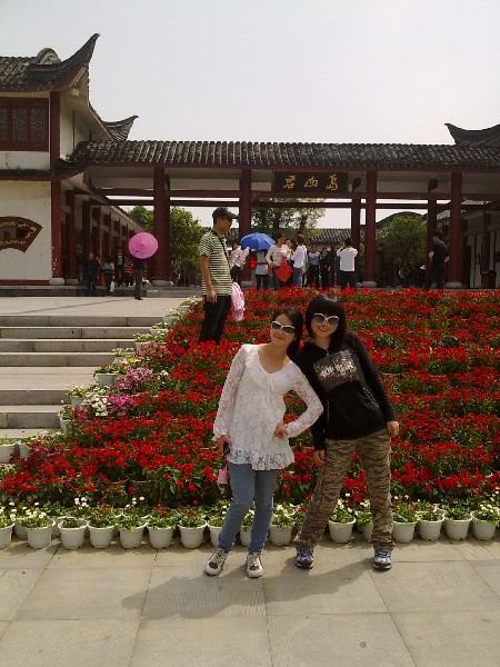 BigBull_20100501927.jpg