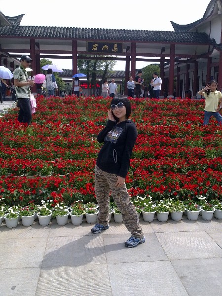 BigBull_20100501928.jpg