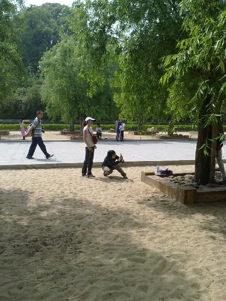 BigBull_20100501936.jpg