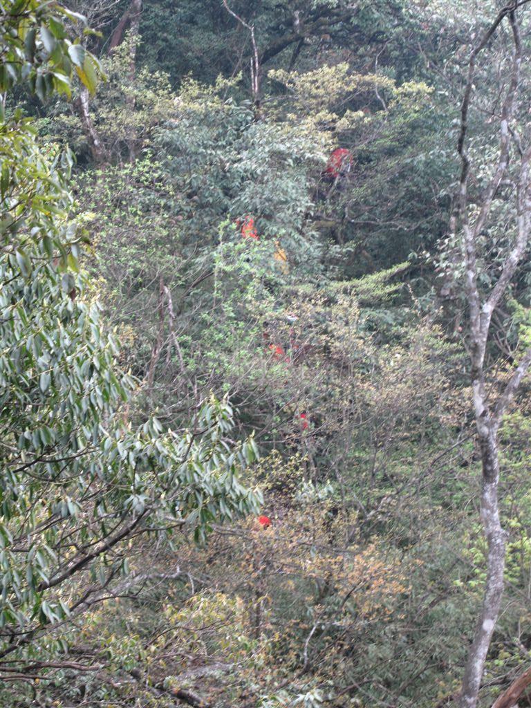 IMG_4889.jpg