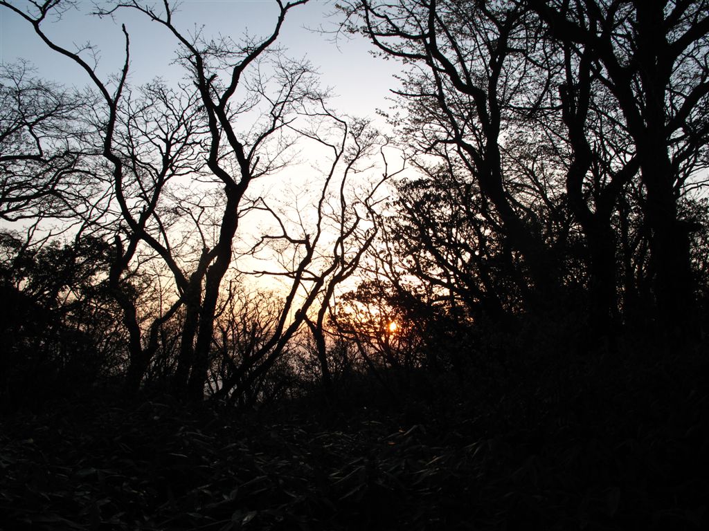 IMG_5058.jpg