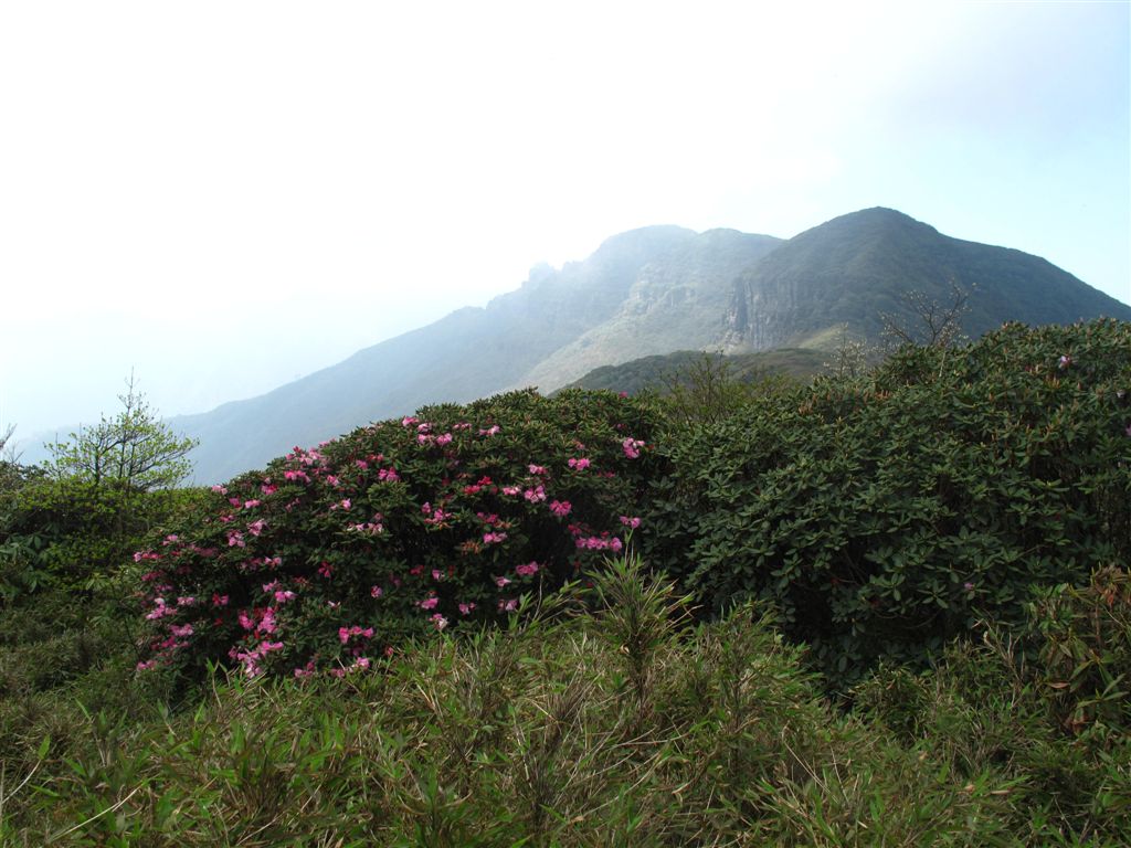 IMG_5190.jpg