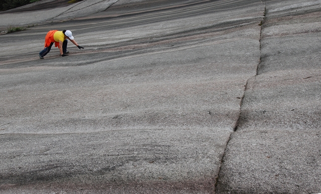 DSC_2013.JPG