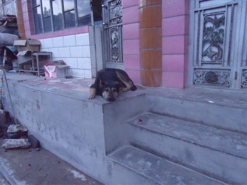 ���еĹ���!.jpg