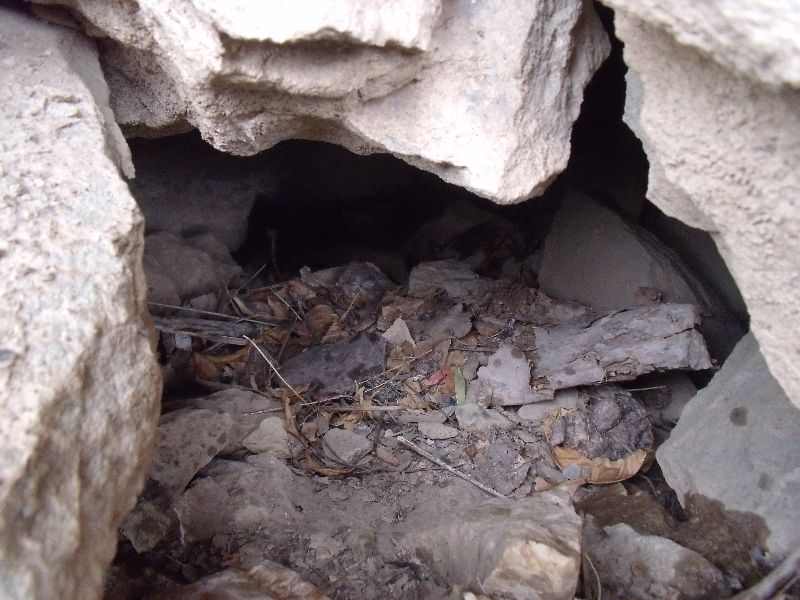 20100427˭�ļ�.jpg