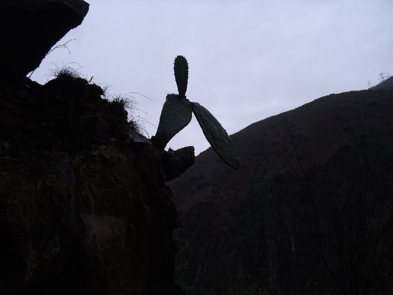 20100427 025.jpg