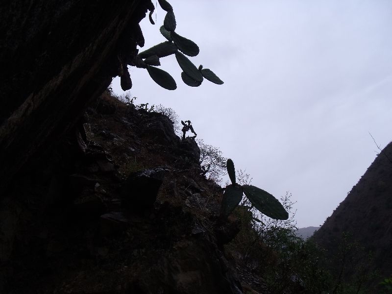 20100427 026.jpg