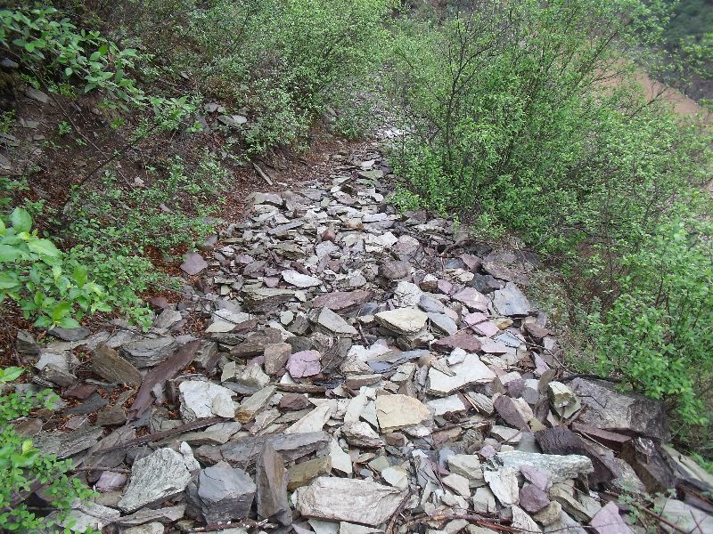 20100427ʯ��.jpg