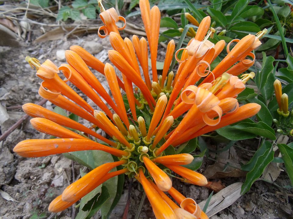 20100430�ʻ�.jpg