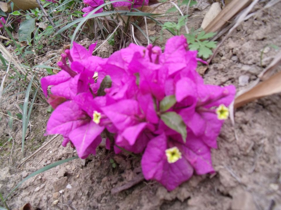20100430�컨��.jpg
