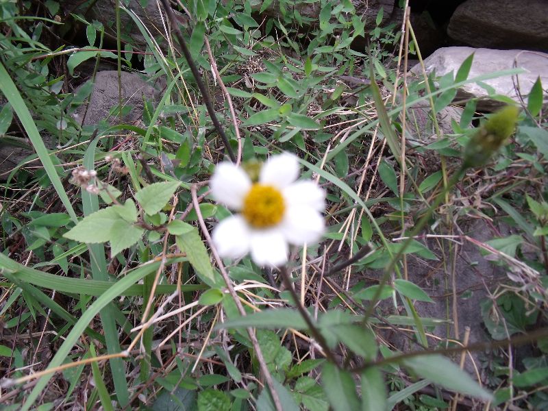 20100430�׻�.jpg