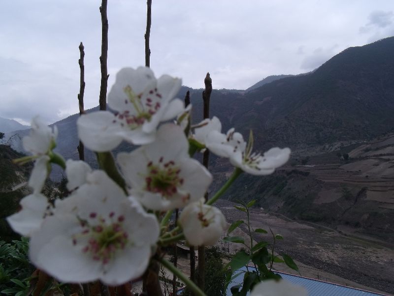 20100430�׻�02.jpg