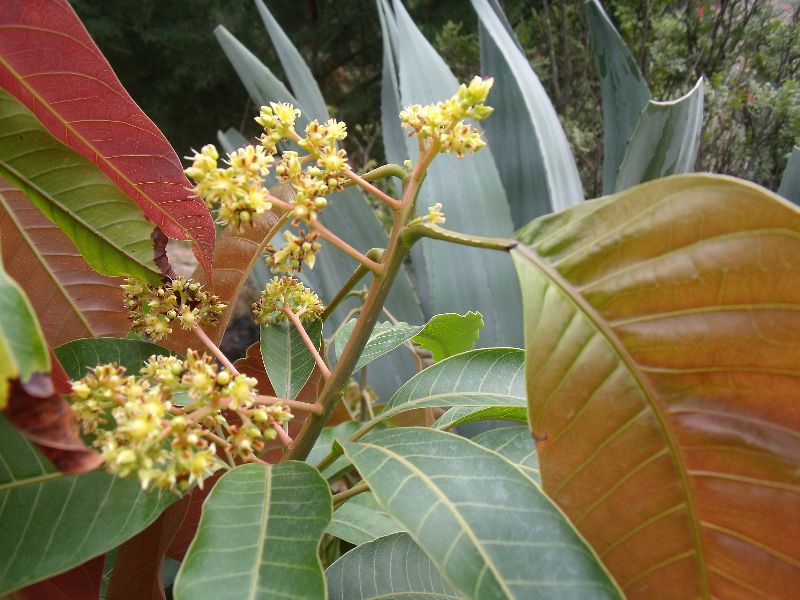 20100430����.jpg