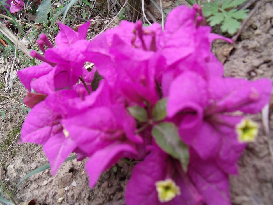 20100430�컨��.jpg