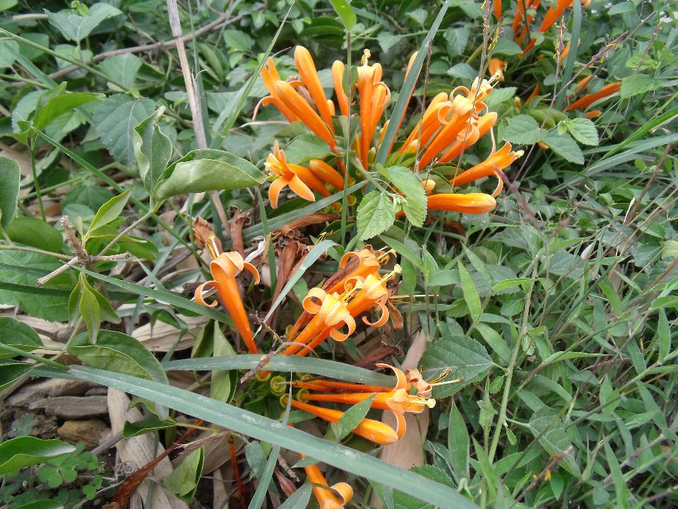 20100430�ۻ�01.jpg
