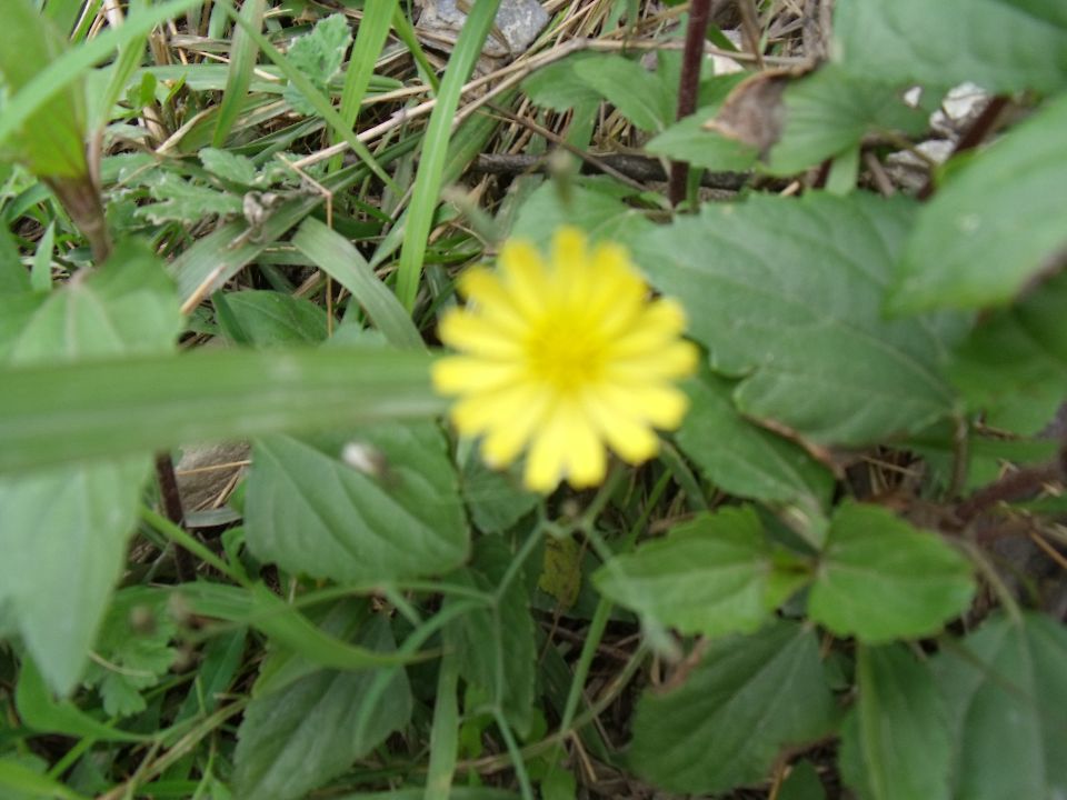 20100430�ƻ�01.jpg