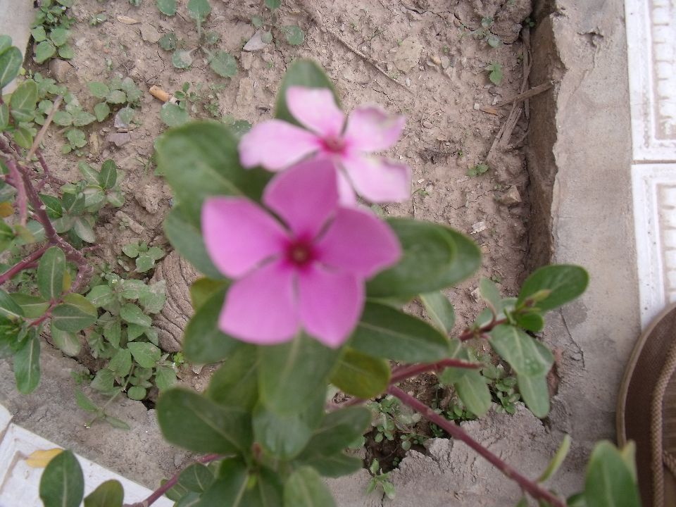 20100430С�컨.jpg