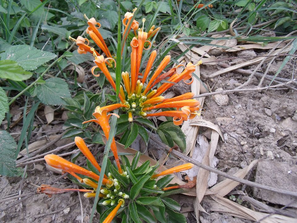 20100430�ۻ�02.jpg