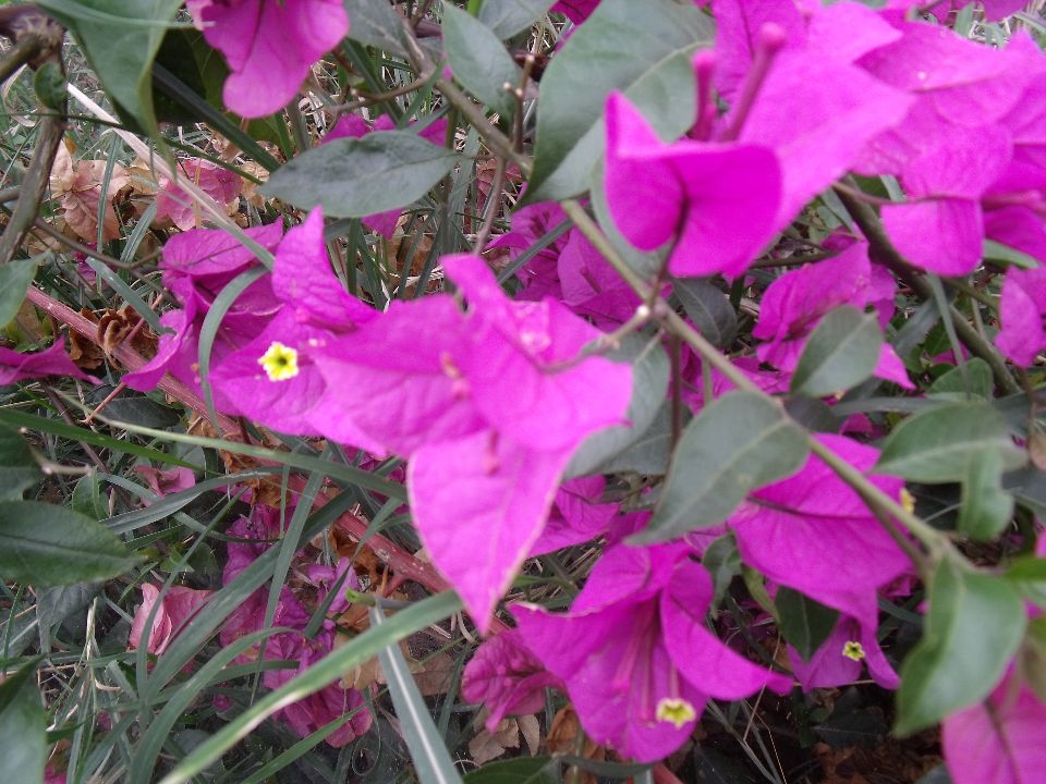 20100430�컨02.jpg