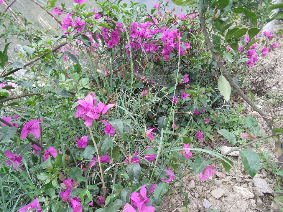 20100430�컨03.jpg