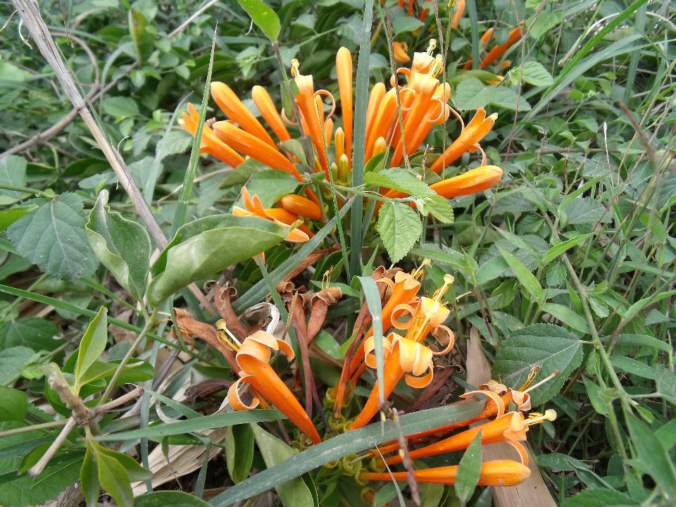 20100430�ۻ�03.jpg