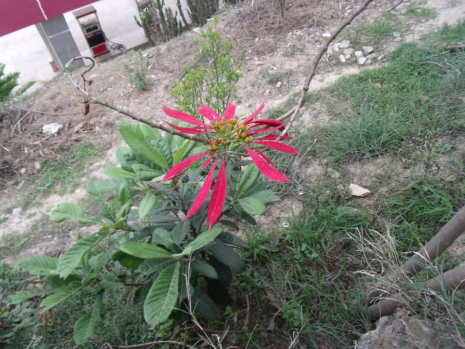 20100430�޺�02.jpg