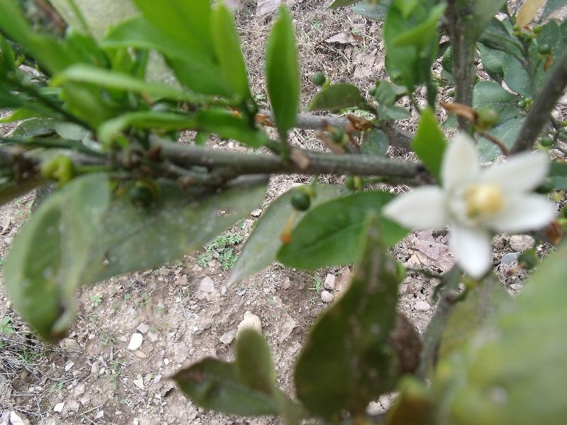 20100430�ۻ�.jpg