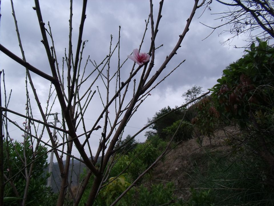 20100430�һ�02.jpg