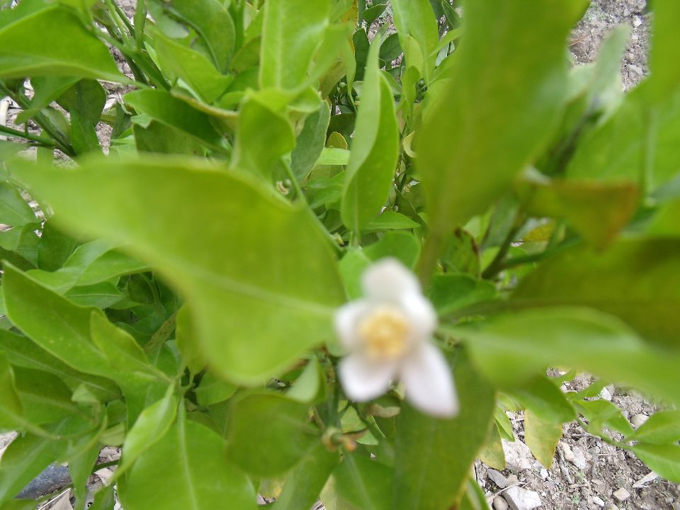 20100430�ۻ�02.jpg